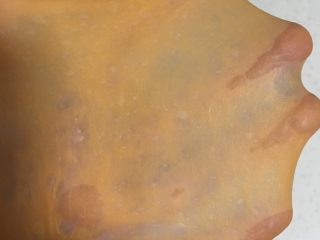 3、小宝宝最喜欢的芝士小甜甜面包,揉至出手套膜，时间大约二十五分钟