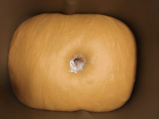 5、小宝宝最喜欢的芝士小甜甜面包,发至二倍大，并且手指粘粉戳孔不回缩