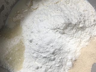 1、海蒂白面包(白屁股面包),所有除黄油外的材料放在盆里