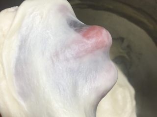 4、海蒂白面包(白屁股面包),揉出透明强韧的薄膜即可