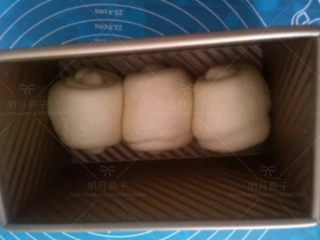 11、中种酸奶土司,依次做好其余二个，排入模具，发酵至八分满。