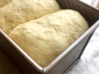 11、中种香蕉土司,发酵至2倍大小；烤箱预热，175度上下火35分钟；烤箱里放一碗温水；烤箱温度仅供参考！