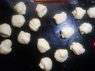 5、奶香蜜豆包,倒出面团，轻拍排气。平均分成16份。