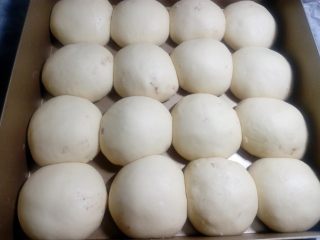 7、奶香蜜豆包,面团发至约2至2.5倍大就可以了。