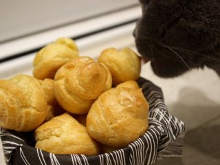 24、一口钟情奶油泡芙????,哎呀，猫也来了