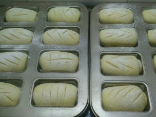 15、全麦黑提面包,发酵好的，过筛一层高粉，用锋利的刀割包，烤箱180度预热10分钟