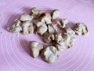 10、植物油红枣软欧,揉到切块的面团里；