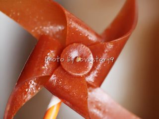 13、风车果丹皮,最后把牙签扎进吸管一头。