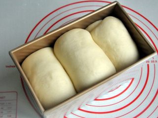 9、黄油椰蓉吐司条,放入烤箱进行第二次发酵，38度发酵至8-9成模。