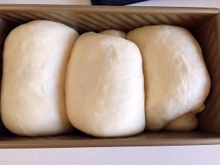 11、羊奶吐司,约50分钟发至9分满,烤箱170度预热10分钟。