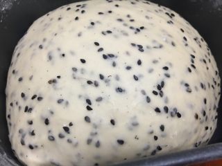 4、黑芝麻吐司 ,发酵至两倍大。