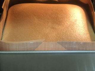 15、软软嫩嫩入口即化的古早蛋糕‼️（抖臀蛋糕⁉️）,再回看一下在烤箱里的时候，表面一直是平整光滑细腻。