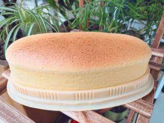 14、空气感轻乳酪蛋糕,成品图