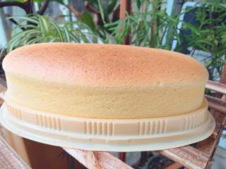 15、空气感轻乳酪蛋糕,成品图