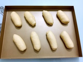 13、奶油面包,放入烤盘中