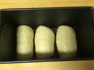 17、一次发酵吐司面包,放入到吐司磨具中