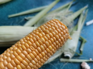 2、黄金玉米饼,玉米上面的玉米须摘干净。