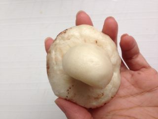 12、仿真蘑菇包,然后将蘑菇柄塞进去