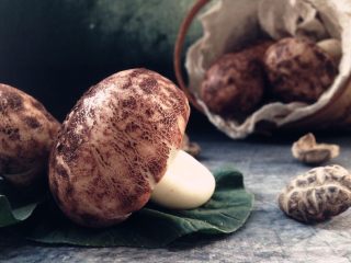 13、仿真蘑菇包,蘑菇包就做好了