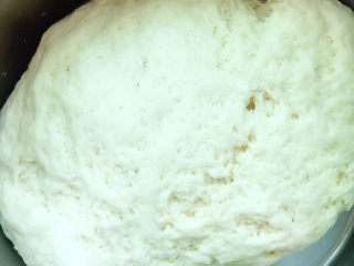 6、荠菜鲜肉馅饼,发酵至两倍大时取出揉搓排气