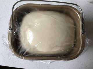 5、香葱培根芝士面包（咸香味）,将面团放入容器中，盖上保鲜膜。进行基础发酵至两倍大。（当室温高于28度时应当选择放入冰箱冷藏发酵。室温25度左右可以选择室温发酵。冬季室温较低，选择放入烤箱，不盖保鲜膜，烤箱内放入温水，开启发酵功能发酵，发酵温度设定28度。如果烤箱发酵温度较高，可以不开发酵功能，直接用温水保证烤箱内温度和湿度即可。烤箱内壁水汽不流下说明湿度合适。）