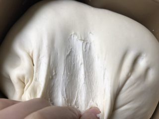 8、香葱培根芝士面包（咸香味）,撕开面团，内里气泡均匀细小绵密，说明发酵的比较好。如果有很多大气泡，面团瘫软无力，要考虑是不是发酵过头。