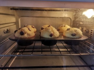 14、蔓越莓椰蓉麦芬蛋糕,蛋糕长高是很治愈的过程