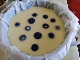 7、酸奶芝士蛋糕,放入蓝莓