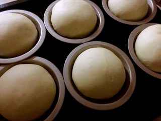 9、汉堡????坯,二次发酵好后在表面涂上一层牛奶