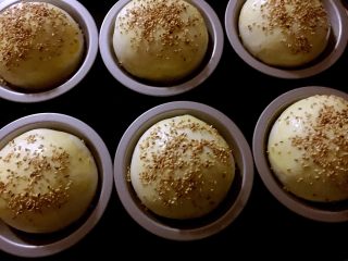 10、汉堡????坯,撒上满满的白芝麻