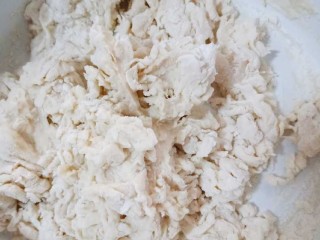 2、十味 葱油饼,和成这种絮状