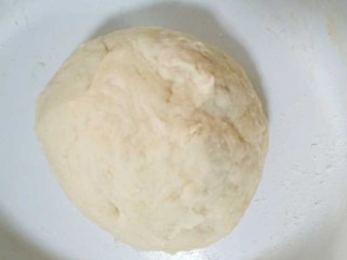 3、十味 葱油饼,和成光滑的面团,盖盖子醒半个小时