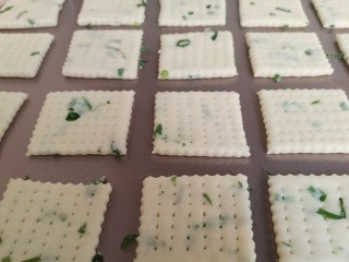 14、香葱苏打饼干,把饼干移到不沾烤盘上，每个之间都留点距离摆开