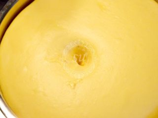 13、面包机揉面就可以的奶酪面包,盖上保鲜膜,室温发酵至如图状态。手指蘸面粉戳一下,出现肚脐状圆孔,不塌陷不回缩就发酵成功了。烤箱这个时候可以开始190摄氏度预热了。