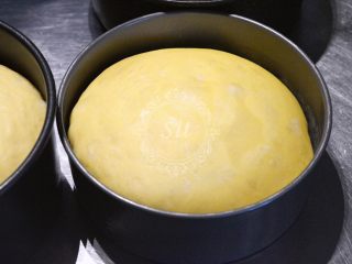 15、面包机揉面就可以的奶酪面包,发到9成满。这里建议使用不粘模具哦。