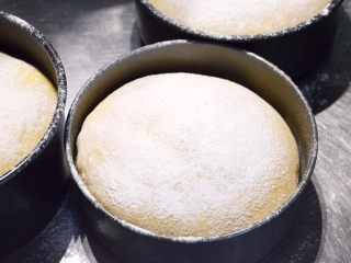 16、面包机揉面就可以的奶酪面包,表面筛上高筋面粉之后送入烤箱烤制。