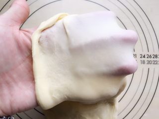3、牛角包,把面团从冰箱拿出来，取一小块抻开，能看到面团已经有了膜，但比较厚，这样的面团还不能拿来塑形。继续揉面。