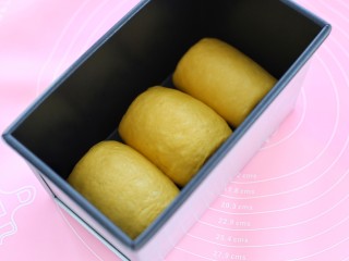 13、最爱面包+南瓜土司,将所有面团擀开卷起后排放土司盒内