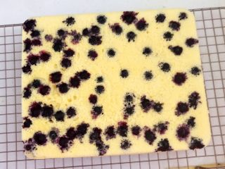 27、蓝莓无水海绵蛋糕,蛋糕凉透可以脱模了