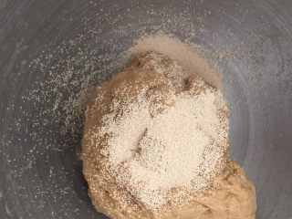 4、奇亚籽咖啡12连迷你面包,开动厨师机2档3分钟后加入酵母,再和面2分钟