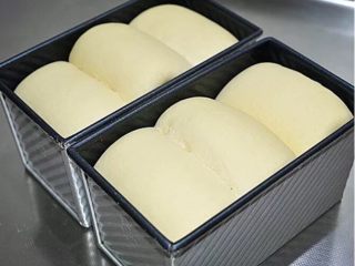11、吐司面包,发至8分满时，表面刷稀蛋液