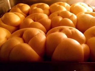 13、老式面包,烤箱180度预热后烤40分钟（根据自家烤箱温度来决定烤制的时间及温度）上色满意后盖上锡纸防治烤糊