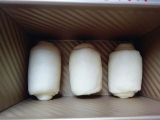 9、蔓越莓吐司面包,做好的面团卷，接口朝下整齐放在吐司磨具里，我的磨具是450g的吐司磨具。