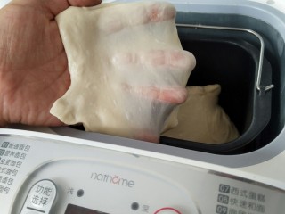 8、中种牛角包,揉面结束后，面团拉出较有韧性的薄膜。