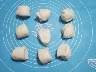 9、中种牛角包,面团取出分割成等量的若干剂子。