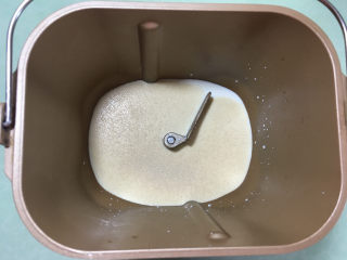 6、小象红糖花生包,将牛奶放入面包机桶内，放入酵母后混合均匀。