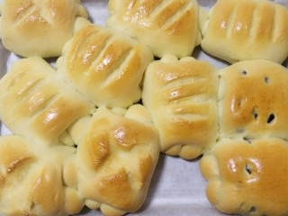 17、超级松软的萌面包,放入预热180度的烤箱烤20～25分钟。上色太深的话可以盖锡纸。