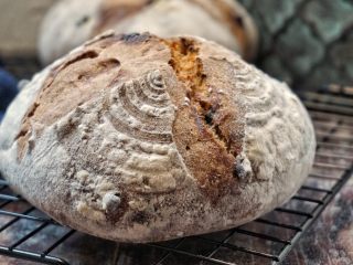 26、洛可可香蕉面包（水果种）,再看