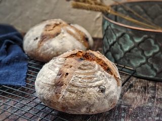 30、洛可可香蕉面包（水果种）,美美哒