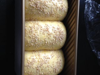 12、橙香燕麦吐司,发好的面团涂上蛋液,撒上芝麻